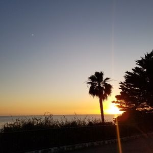 Meet your Posher, Ela